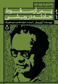 پس از سقوط و حادثه در ویشی